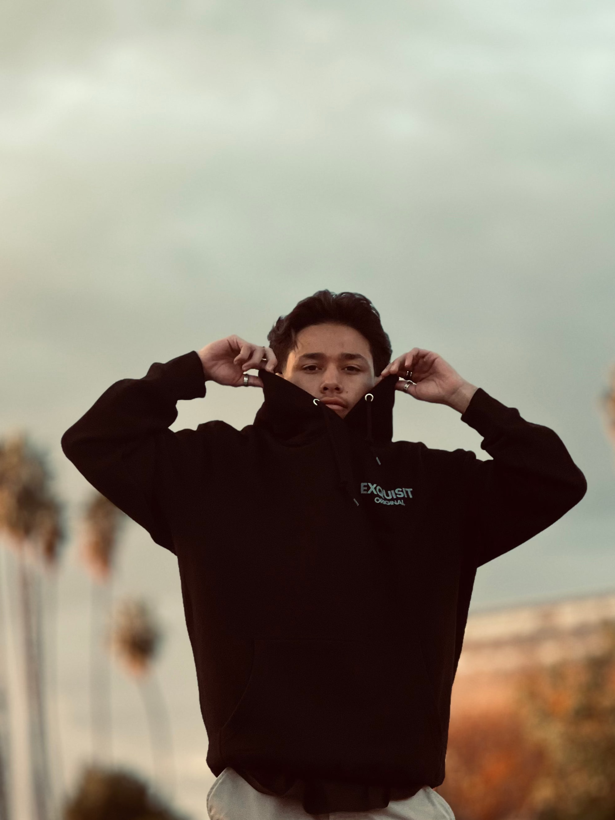 exquisit hoodie